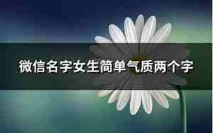 微信名字两个字女简单气质