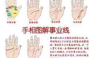 手相财帛宫在哪个位置
