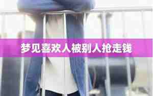梦见包被别人抢走了什么预兆