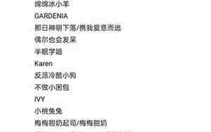 QQ好听的昵称男生英文