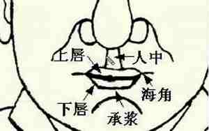 互相尊重的人面相特征有哪些