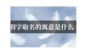 羽字取名男孩子