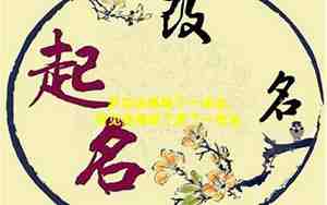 梦见别人起地瓜很多