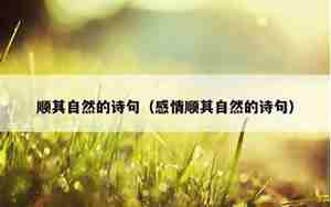 表达顺其自然的诗句