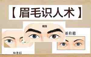 眉型影响面相嘛男