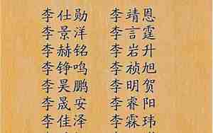 姓李的男孩取什么名字两个字