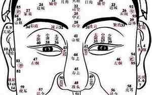 人的面相分几种