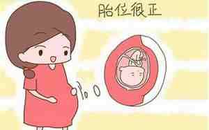 孕妇梦见别人挖土豆是什么意思