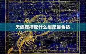 天蝎座爱情运势陶白白