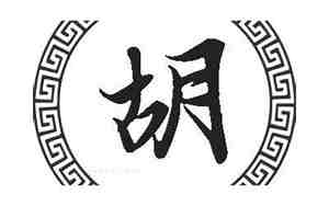 姓胡的男孩名字大全生肖兔宝宝取名