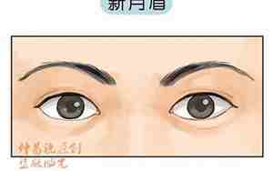 新月眉图片大全