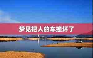 梦见开别人的车撞坏了预示着什么意思