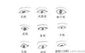 面相眼睛间距小的男人命运