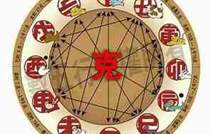 95年属猪的人是什么命