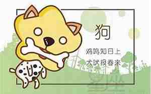 蛇和狗合不合、子女关系