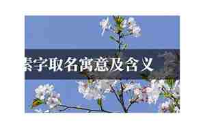 素字取名寓意男名