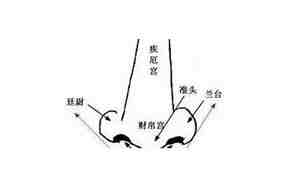 鼻梁有疤是什么面相图片