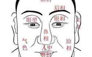 面相重点在骨相上怎么看