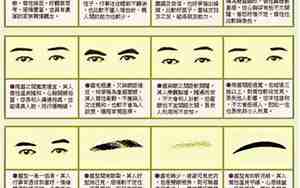 眉毛是属于什么面相图片