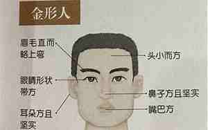 长相清瘦的人面相特征图片