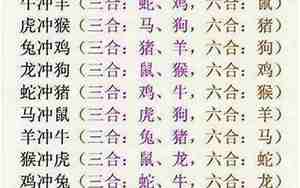 属马的三合属相