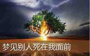 梦见别人遭灾什么预兆