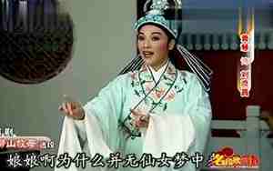 越剧名段50首有了金有了银选段
