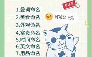 好听的女猫咪名字