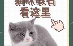 给动物取名字英文