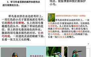 翠鸟课文三年级上册