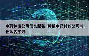 金命人注册公司叫什么名字好