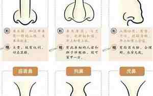 鼻子左右不畅通面相怎么看