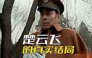 楚云飞结局怎么样了