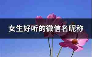 微信名字女生霸气高冷