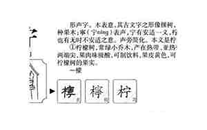 起名柠檬的寓意是什么