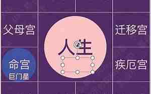 命主巨门身主天机