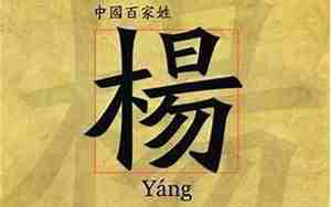 杨姓名字大全男孩缺木