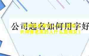 长得像老鹰的面相特征女