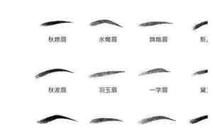 面相眉毛短怎么解释女人