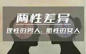 感性男人和理性男人区别