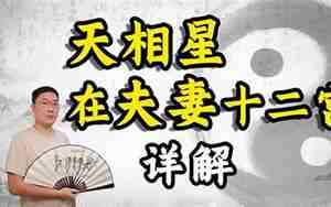 天相星入夫妻宫女命