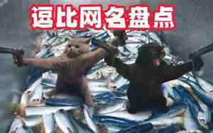 逗比网名 沙雕