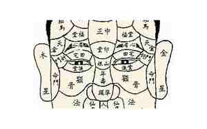 池莉面相分析大全最新