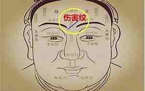 面相呆呆的