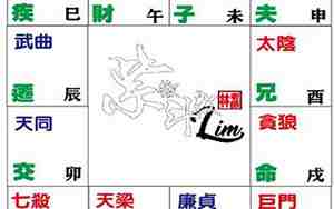 紫微贪狼在命宫的男人