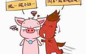 属猪和属马的人合得来吗