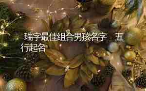瑞字最佳组合男孩名字兔宝宝