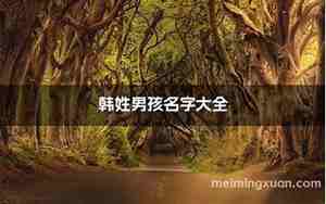 姓韩的男孩名字大全