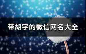 带胡的网名优雅一点