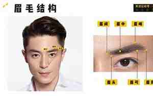 男士眉毛中间有竖纹面相
